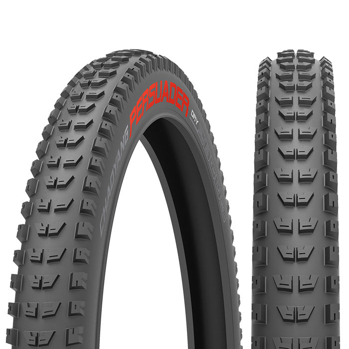 PNEU CHAOYANG PERSUADER DRY - TUBELESS READY (29X2,60)