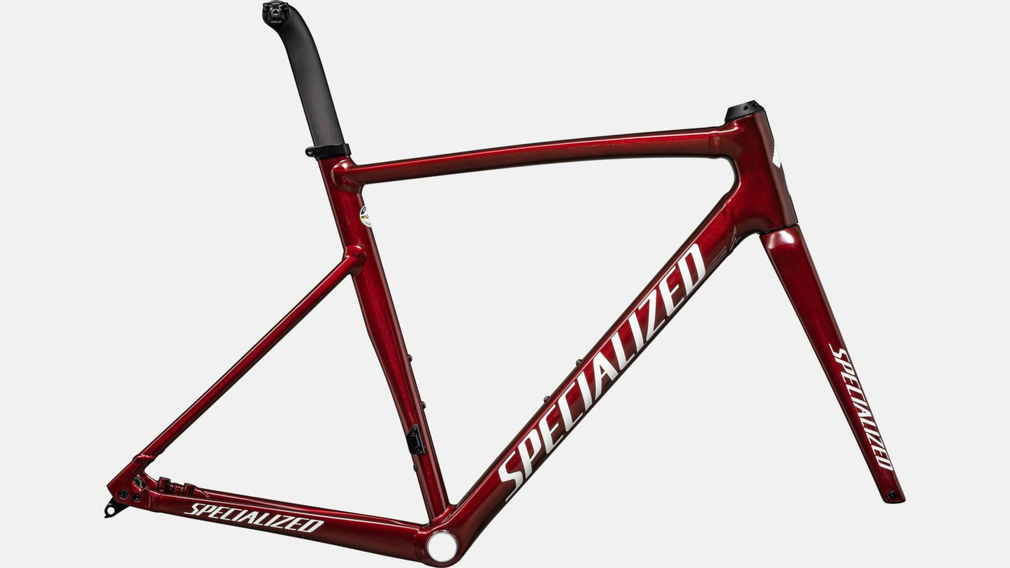 QUADRO SPECIALIZED ALLEZ SPRINT 2024