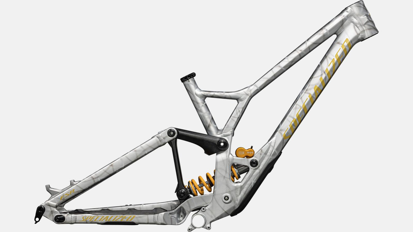 QUADRO SPECIALIZED DEMO RACE 2024