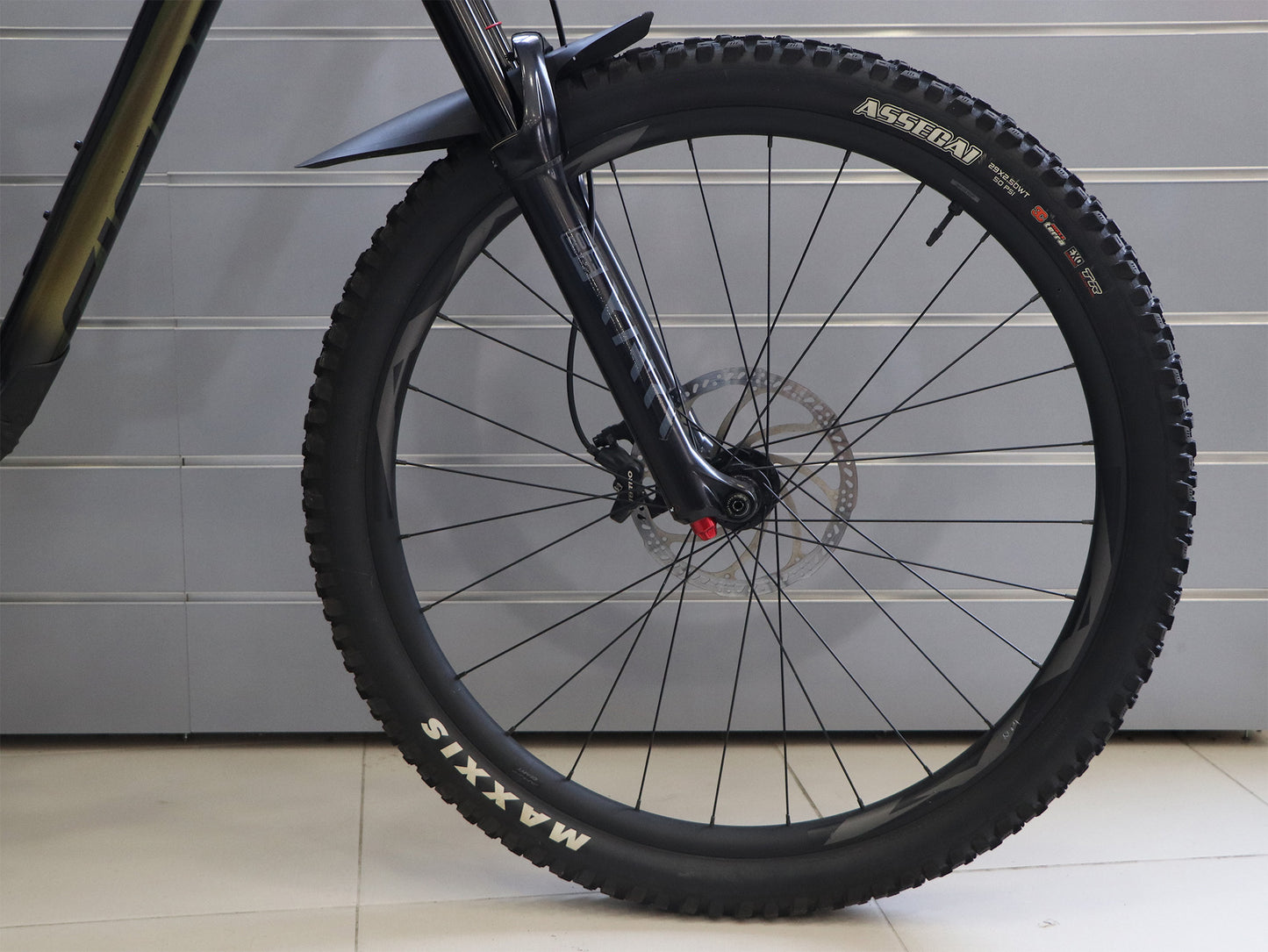 BICICLETA GIANT REIGN 29 2 (L)