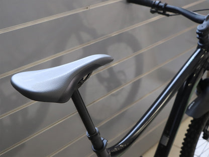 BICICLETA GIANT REIGN 29 2 (L)